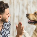 Five Things To Remember When Moving With Pets
