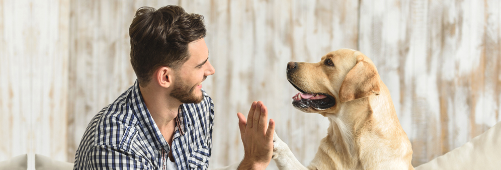 man and dog